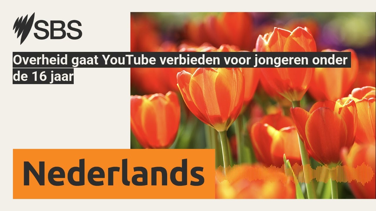 Rijksoverheid adviseert: wacht met sociale media tot 15 jaar